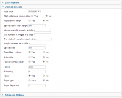 EXT bxSlider Products for redSHOP module